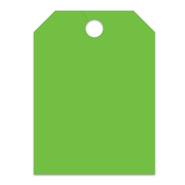Blank Hang Tags