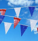 plastic 100' pennants